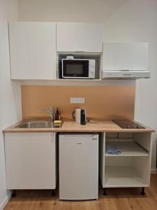 a kitchen with a sink and a microwave at Studio lumineux - 1er étage - Centre Vienne in Vienne +2 photos