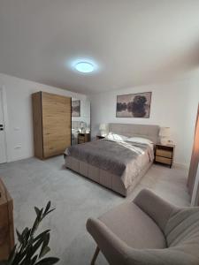 a bedroom with a bed and a couch in it at Colins Premium Apartments in Giurgiu +4 photos