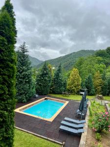 a swimming pool in the middle of a yard at Pensiunea Un colț de Rai in Lunca Jariştei