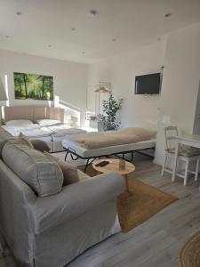 a living room with two beds and a couch at Lieblingsplatz Bevensen in Bad Bevensen