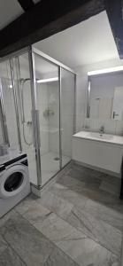 a bathroom with a shower and a washing machine at Hotel Surselva in Chur