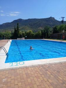a person swimming in a large swimming pool at Los Gavilanes BOGARRA in Bogarra