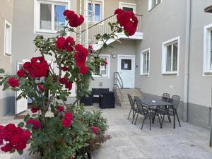a patio with red roses and a table and chairs at Mariazellerhof Room 015 in Sankt Pölten +5 photos