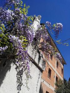 a building with a statue on top of it with purple flowers at Oasi della Divina Volontà in San Giovanni Rotondo