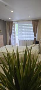a bedroom with a bed and a window at Yellow Apartment Mažeikiai in Mažeikiai