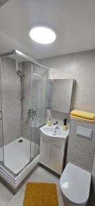 a bathroom with a shower and a toilet and a sink at Yellow Apartment Mažeikiai in Mažeikiai