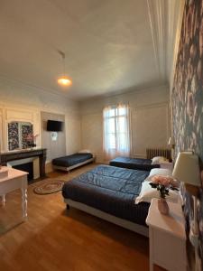 a bedroom with a large bed and a fireplace at Hotel du chateau blanc in Saint-Aubin-lès-Elbeuf