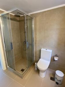 a bathroom with a shower and a white toilet at Oleander Villa in Rafina