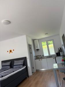 a living room with a bed and a kitchen at Lacurile IRION in Hoghilag
