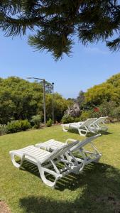 three white lounge chairs sitting in the grass at Discovery Apartment with patio Discovery 2 in Machico