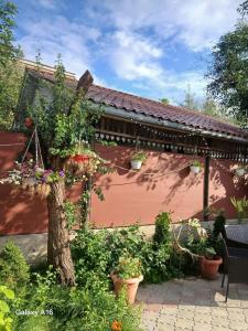 a garden with potted plants on a house at ЕЛІТ in Svalyava