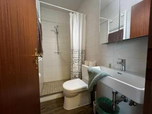 a bathroom with a toilet and a sink and a shower at Mariazellerhof Room 015 in Sankt Pölten