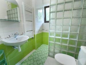 a green and white bathroom with a sink and a toilet at Kwatery u Potoków in Piwniczna-Zdrój +33 photos