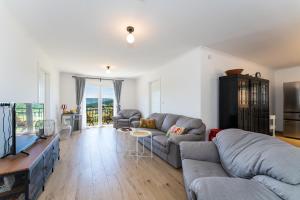 a living room with a couch and a tv at Apartment Ana with private pool in Otok