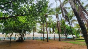 a group of palm trees in front of a building at Lake N Trails Exotic Glamping in Khālāpur