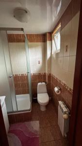 a small bathroom with a toilet and a shower at Łopiennik in Cisna +20 photos