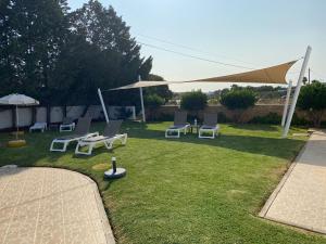 a group of chairs and umbrellas on a lawn at Resort Solar Veiguinha in Carvoeiro