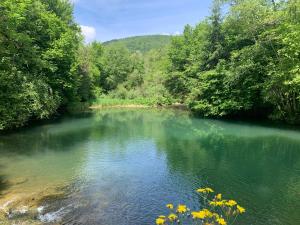 a river with green water and trees at le loft de l'Atelier in Nans-sous-Sainte-Anne