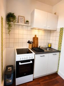 a small kitchen with a stove and a sink at Pension zum Ziegenbart in Tangermünde
