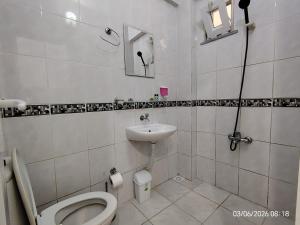 a bathroom with a toilet and a sink at Avsa BARAN MOTEL apart in Marmara +16 photos