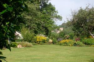 a garden with lush green grass and flowers at MAISON d HOTES in May-sur-Orne +9 photos