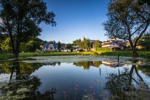 a large pond of water with houses in the background at Dwór Meluzyna in Janowiec