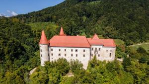 a castle with a red roof on top of a hill at M&M house in Bizeljsko