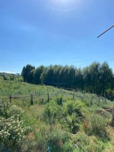 a fence on the side of a hill with flowers at Panorama in Karakol +5 photos