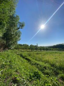 a field of grass with the sun in the sky at Panorama in Karakol