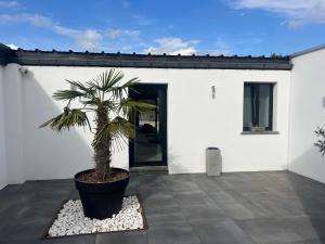 a palm tree in a pot in front of a white building at coin détente in Juprelle