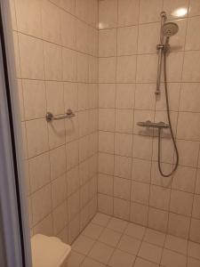 a bathroom with a shower with a toilet at Boszicht in Elim
