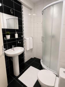 a bathroom with a toilet sink and a shower at Apartman Centar Agrokop in Trebinje