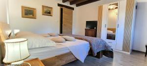 a bedroom with a large bed and a television at Silentium Domus in Gornje Vreme