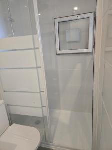 a bathroom with a toilet and a picture on the wall at Yamna in Perpignan +33 photos