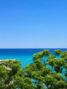 a group of trees with the ocean in the background at ladimoradiperseo in Giovinazzo