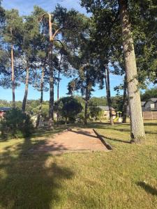 a dirt path in a park with trees at Chalet gris 4 in Chaveignes