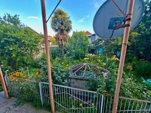 a garden with a satellite dish next to a fence at myGrandma's home in Sheki