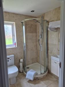 a bathroom with a shower and a toilet at Remus B&B in Lochgelly +18 photos