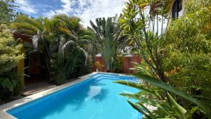 a blue swimming pool in a garden with plants at The Inner Light Yoga Lodge in Sámara