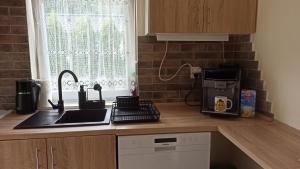 a kitchen counter with a sink and a coffee maker at Domek letniskowy Pod Topolami in Sieraków