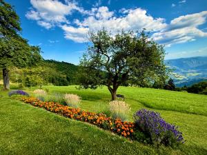 a garden with flowers and a tree in a field at Apartment Boris Sveta Planina in Knezdol +36 photos