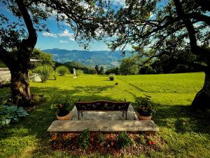 a bench sitting in the grass under a tree at Apartment Boris Sveta Planina in Knezdol