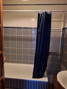 a bathroom with a shower with a blue shower curtain at Agroturystyka Folwark in Leszno