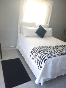 a zebra print bed in a bedroom with a window at JJM Accommodation in Keetmanshoop