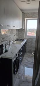 a kitchen with a sink and a stove top oven at Studio Central Brancusi in Târgu Jiu