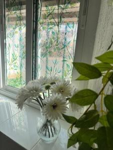 a vase with white flowers sitting on a window sill at Love Home Ronquillo in El Ronquillo