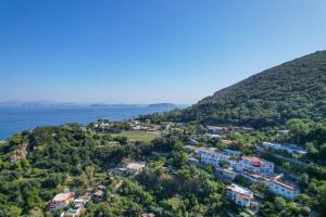 an aerial view of a resort on a hill next to the water at Hotel Residence - Parco Mare Monte in Casamicciola Terme +8 photos