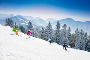 Am Ferienbauernhof Schmiedbauer com Salzkammergut im Winter