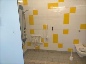 a bathroom with a shower and a toilet at Bateau SKAMP in Mâcon +12 photos