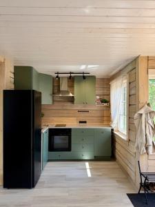 a kitchen with green cabinets and a black refrigerator at Orjaku Sadamavaade in Orjaku +8 photos